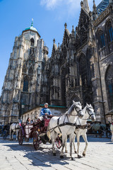Naklejka na ściany i meble Bryczką w Wiedniu w słynnej Stephansdom Cathedr