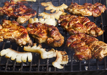 picnic grill