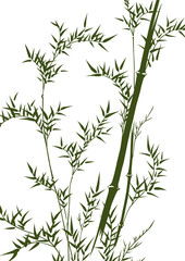 グラフィックパターン