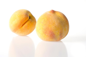 Pêche Pavia