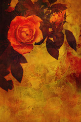 Romantic orange roses background