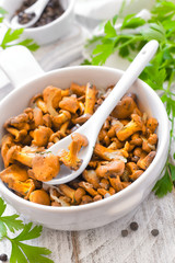 Fototapeta premium Chanterelles