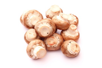 Champignons