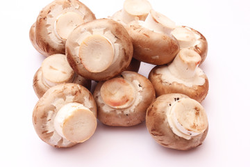 Champignons