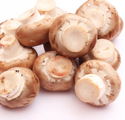 Champignons