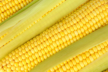 Crude corns