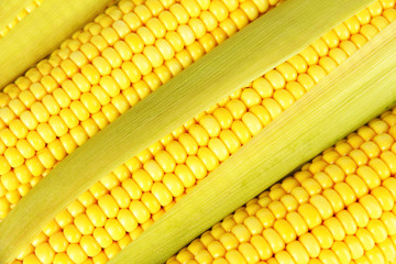 Crude corns
