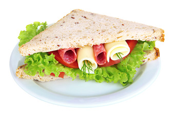 Tasty sandwich with salami sausage and vegetables