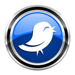 twitter icon