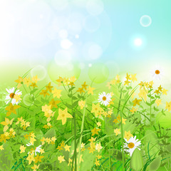 Green_Grass Yellow_Flowers-1