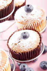 blueberry cupcake with powdered sugar