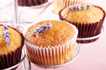 vanilla cupcake with lavender