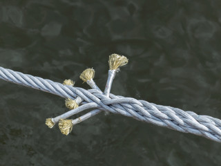 Verbunden Knoten 