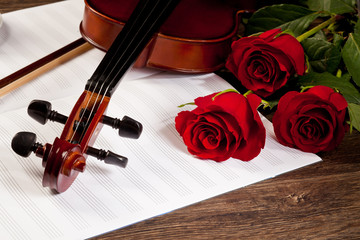 Fototapeta premium Red roses and a violin
