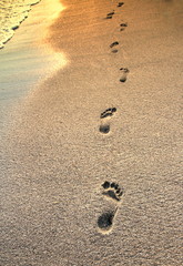 Fototapeta na wymiar Footprints on the beach sand