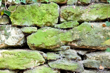 Old weathered stone wall in the forest with moss and cotwebs all