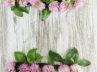 Clover flowers on wooden background