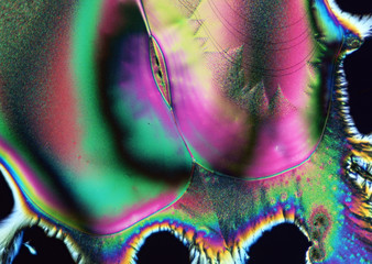 Cell Gene Microscopic Series