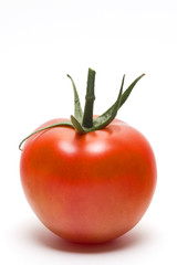 single red tomato on white background