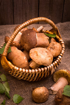 Basket of mushrooms