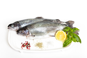 Raw fresh trout with basil, spice and lemon