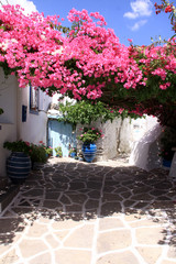 Fototapeta na wymiar Paros, Cyklady Île des grecque