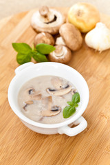 Mushroom cream soup