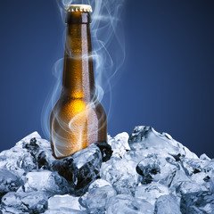 Beer bottle with chill smoke on ice cube