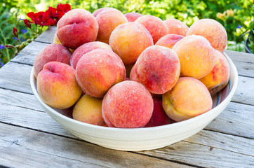 Bowl of fresh yellow peaches