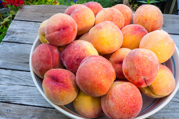 Bowl of fresh yellow peaches