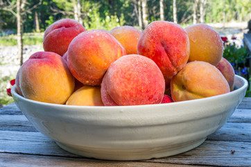 Bowl of fresh yellow peaches