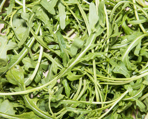 Arugula Salad background