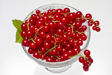 Rote Johannisbeeren