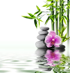 lila Orchideenblüte Bambus auf Wasser