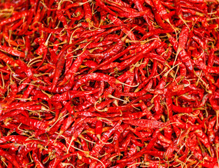 Fototapeta premium Chilli peppers