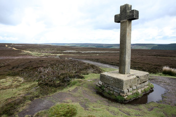Ana Cross, Spaunton Moor