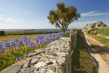 ile de batz en bretagne © saintho