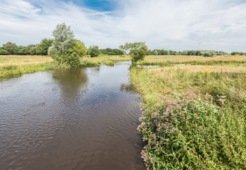 Fototapeta na wymiar Rural summer landscape with a river
