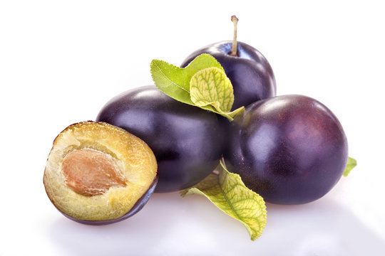 healthy organic plums from the local orchards