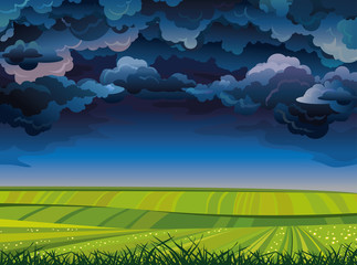 Stormy sky and green meadow. - 54890001