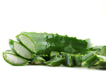 aloe vera isolated