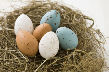 Naklejka na ściany i meble Easter eggs in nest