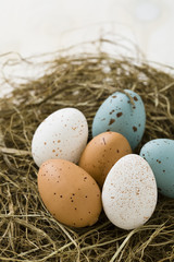 Naklejka na ściany i meble Easter eggs in nest