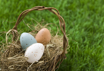 Naklejka na ściany i meble Easter eggs in basket