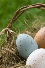 Easter eggs in basket