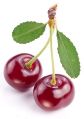 Cherries with leaves on a white background. © volff