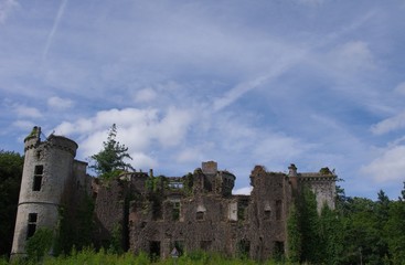 Fototapeta premium Ruines du château du Bois du Loup