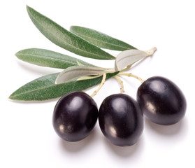 Ripe black olives with leaves.