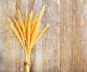 Fototapeta premium Wheat ears