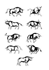 Vectorset Bull